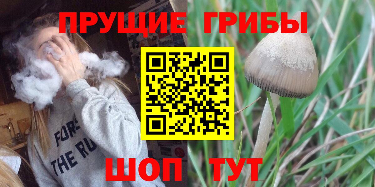 Йошкар-Ола  Псилоцибиновые грибы мицелий  Вход с VPN 