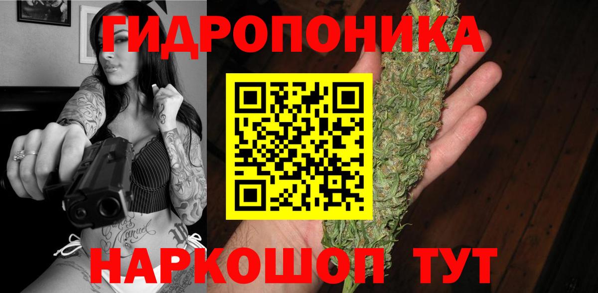 Бошки Шишки семена Йошкар-Ола